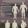 Male Body Types Tutorial