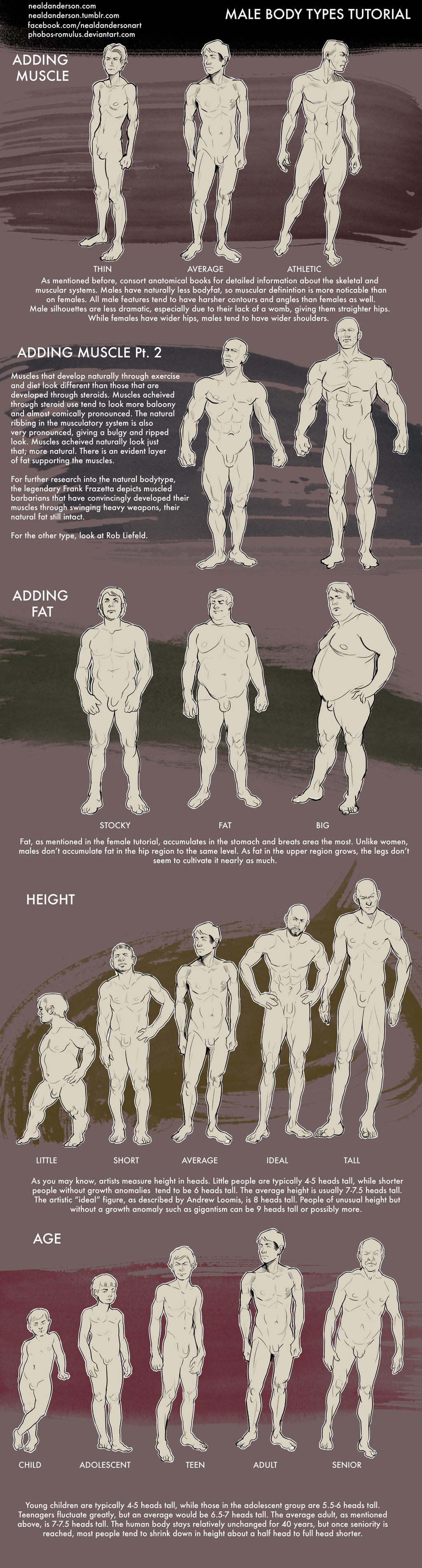 Male Body Types Tutorial