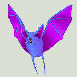 Zubat