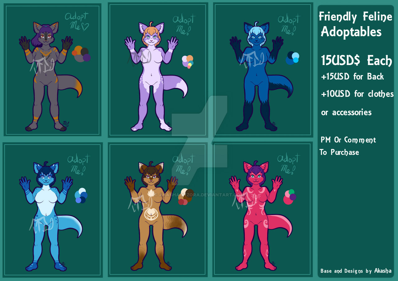 Friendly Feline Adoptables