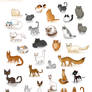 A ton of cats
