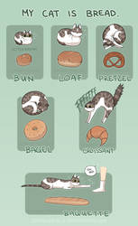 Cat Bread