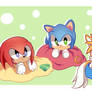 Team Sonic Heroes 