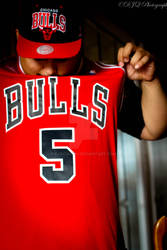 Bulls