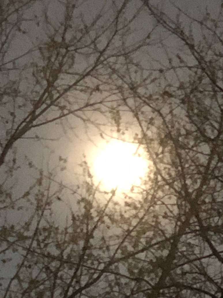 Mvs9966 Total Solar Eclipse 2024 #2 by MVS9966 on DeviantArt