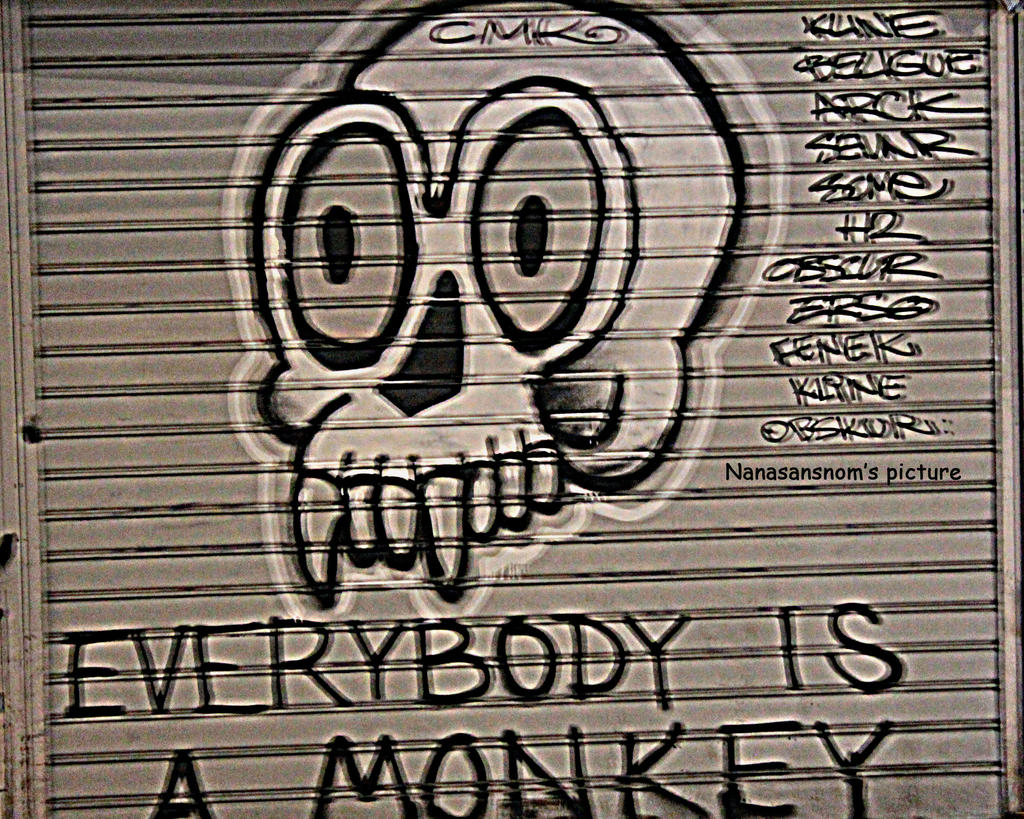 Every Body Is A Monkey