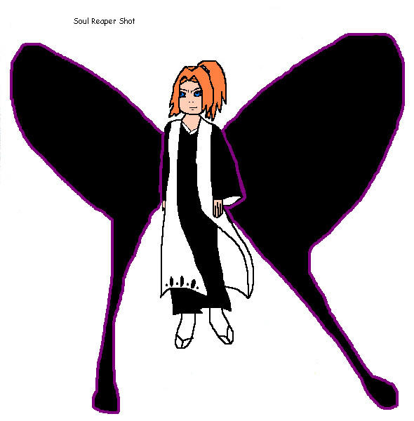 Soul Reaper - Hell Butterfly by Byakuyagaarasasuke on DeviantArt