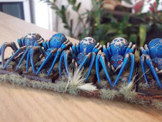 Dire Spiders