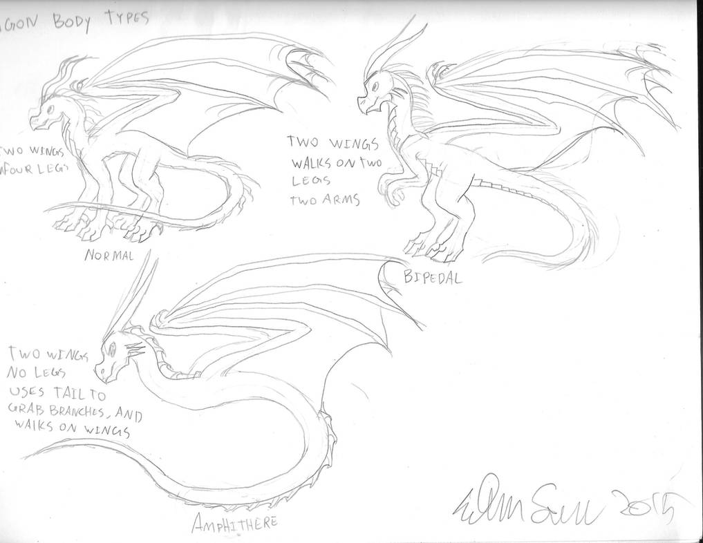 Dragon Body Types - Part 1 by Rainpath12 on DeviantArt