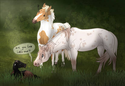 DIARPG || Foal Claim piece