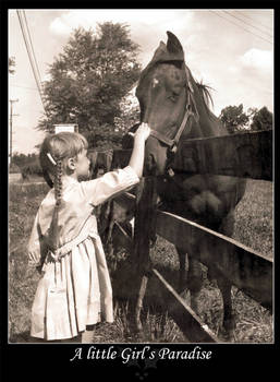 A little Girl's Paradise