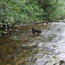 Jess in the river 2