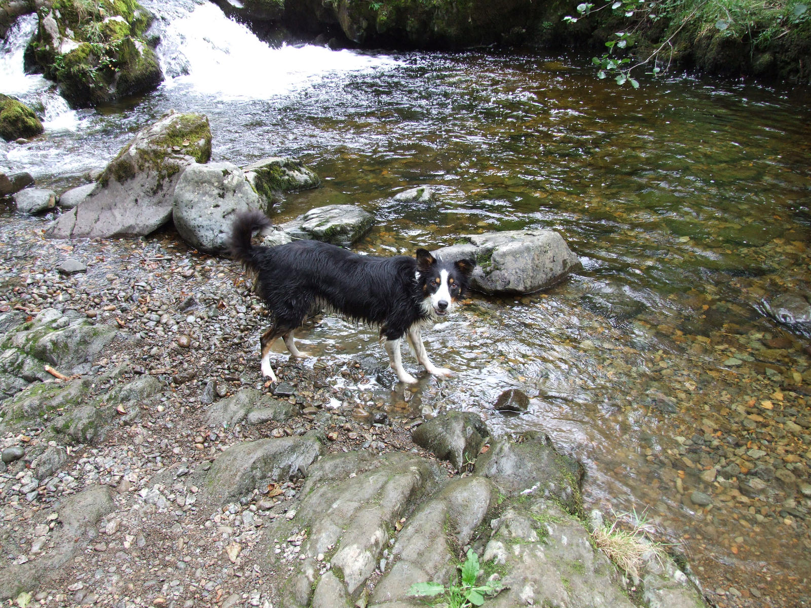 Jess in the river 6