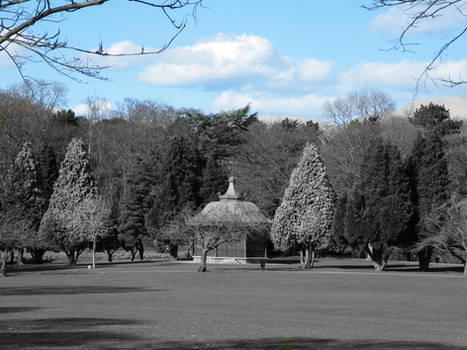 Peaceful Park