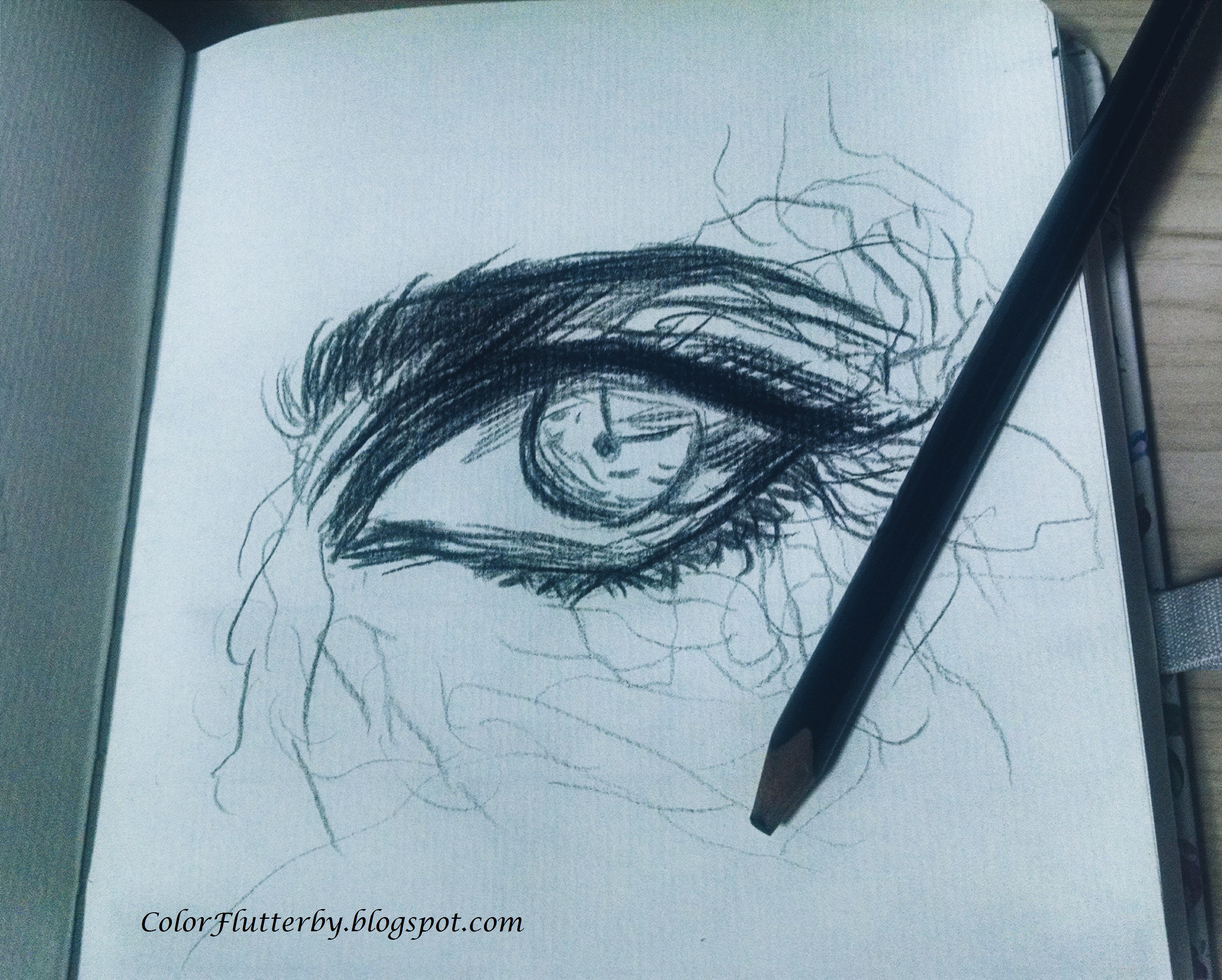 Eye in pencil