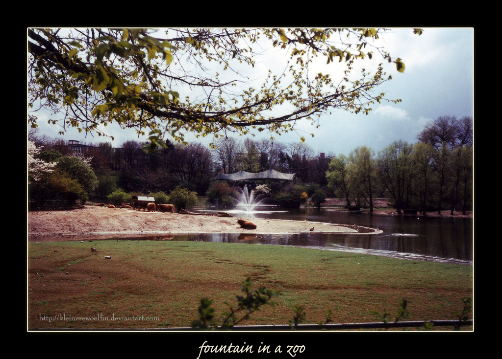 fountain in a zoo