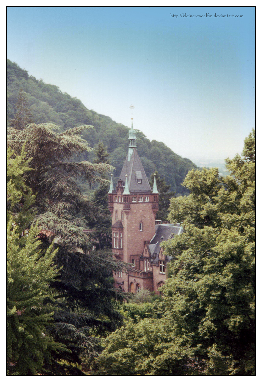 Heidelberg 01