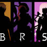 Team BRSS