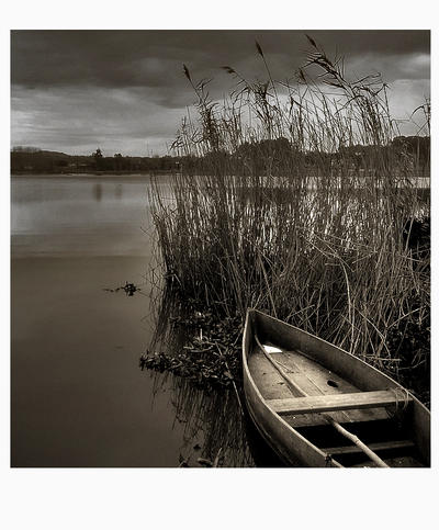 calmo by Hidden-target on DeviantArt