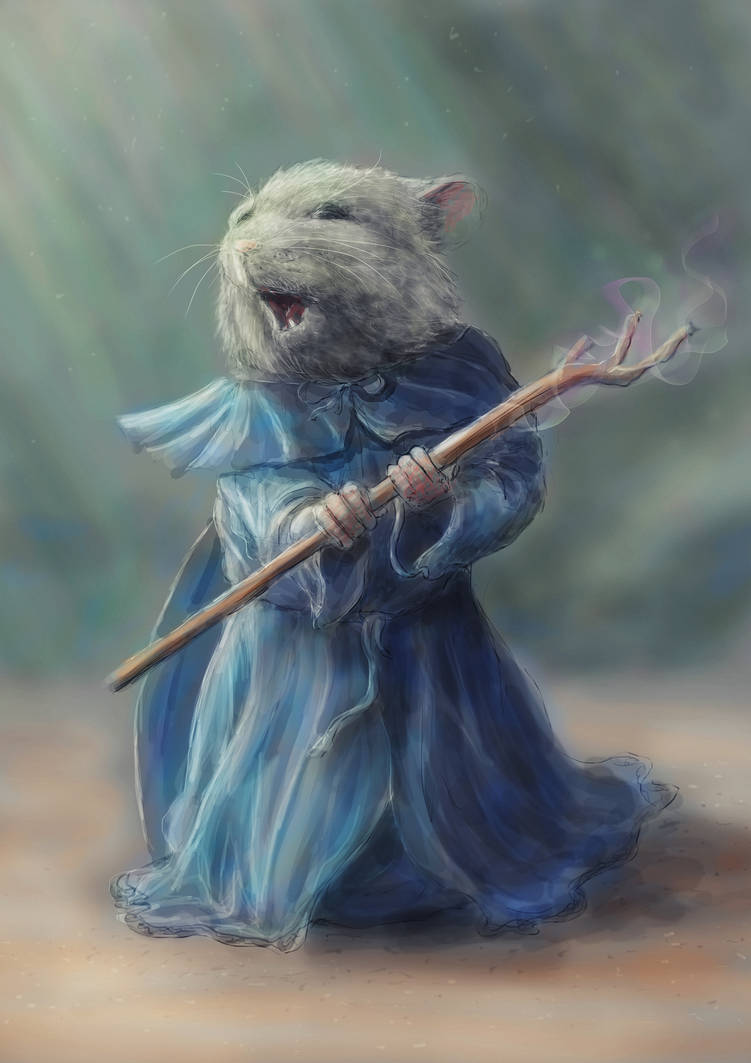 Mouse Wizard by Entar0178 on DeviantArt