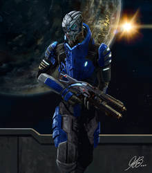 Garrus Commission Painting