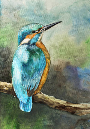 Kingfisher Watercolour by Entar0178