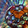 Iridescent Landing Pad