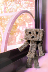 Not Another Danbo Picture