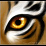 Tiger Eyes