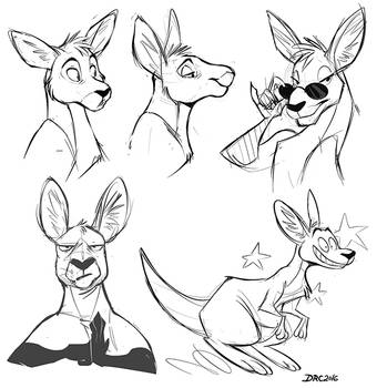 Kangaroo doodles