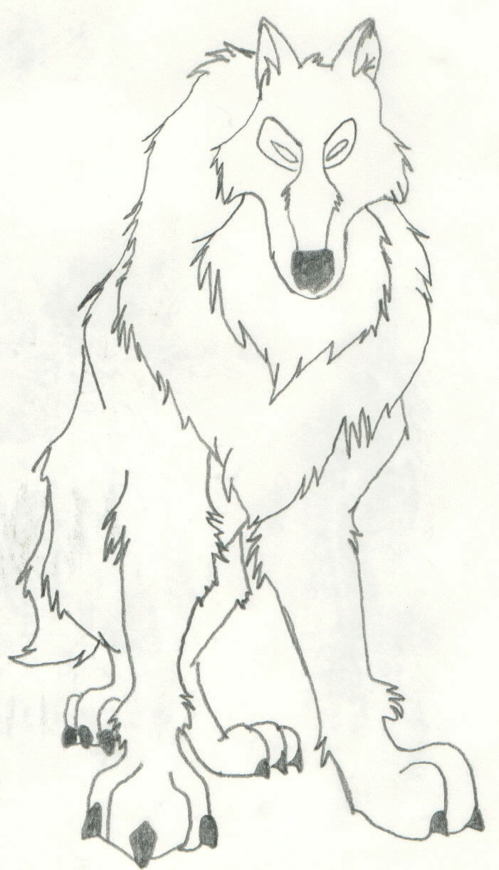 The white wolf