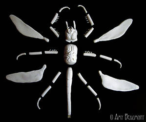 Dragonfly Puppet - Parts