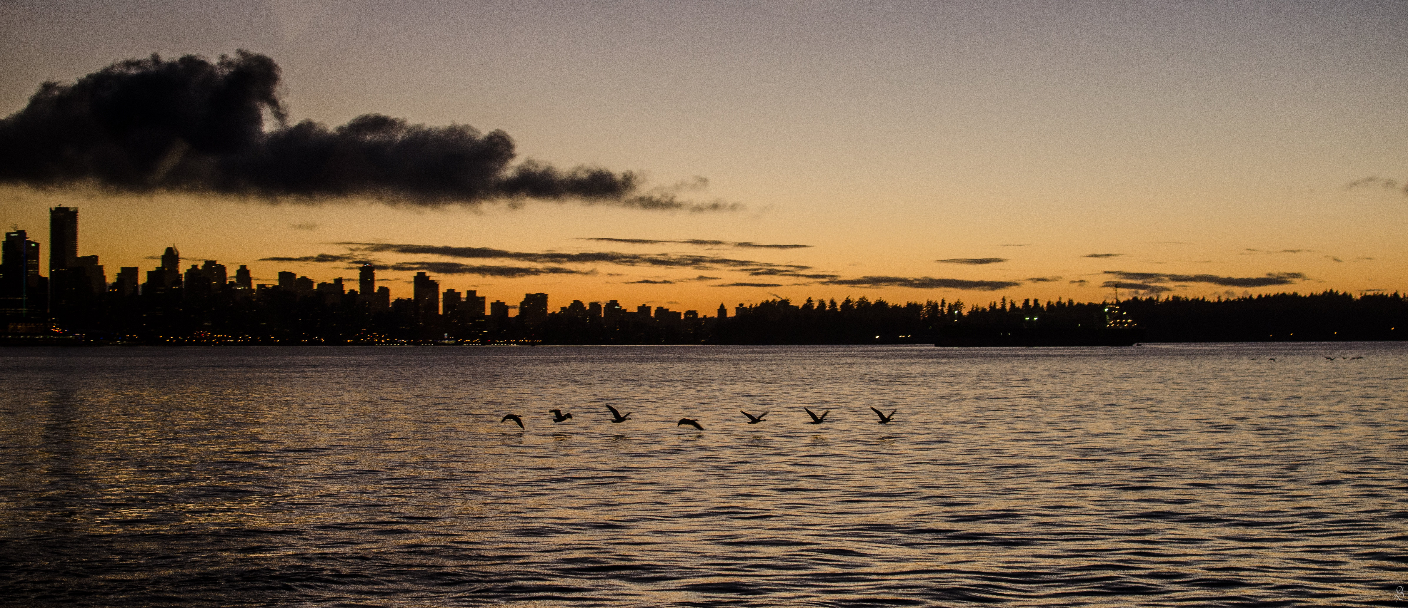 Vancouver Fall