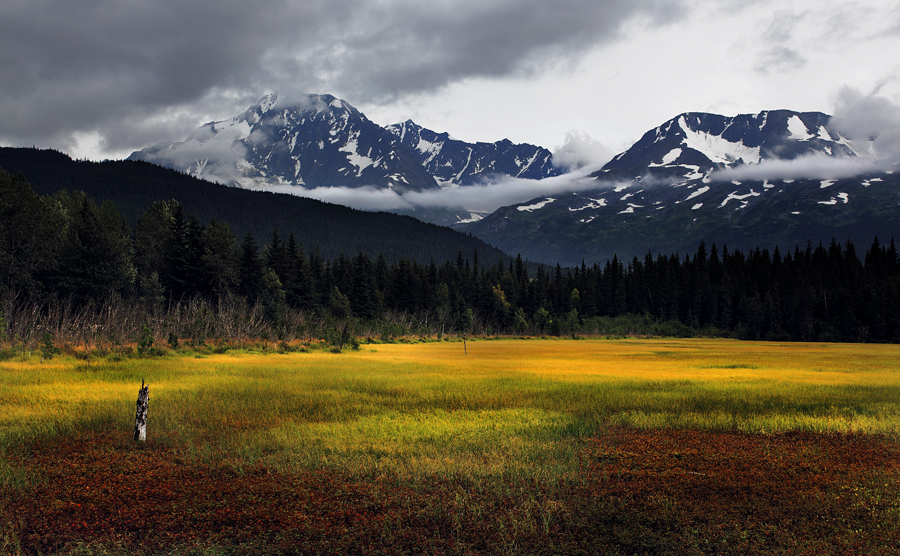 Untitled Alaska I by CapturingNature Untitled Alaska I by CapturingNature