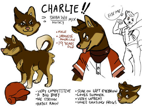 Charlie Shiba Inu/Husky Adoptable {SOLD}