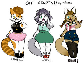 Cat Adoptables