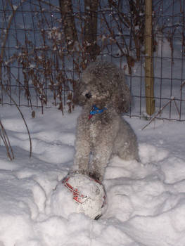 fun in the snow