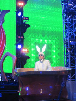 DJ White Rabbit