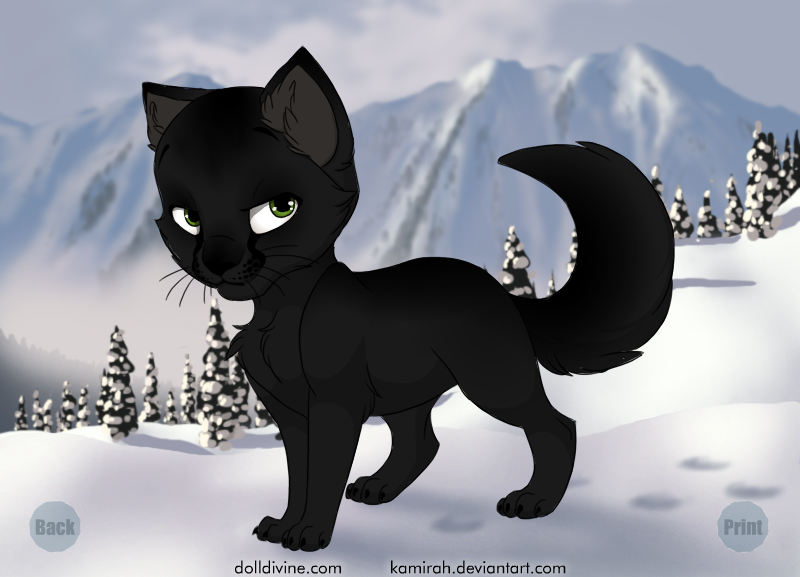 Hollyleaf and My Theory