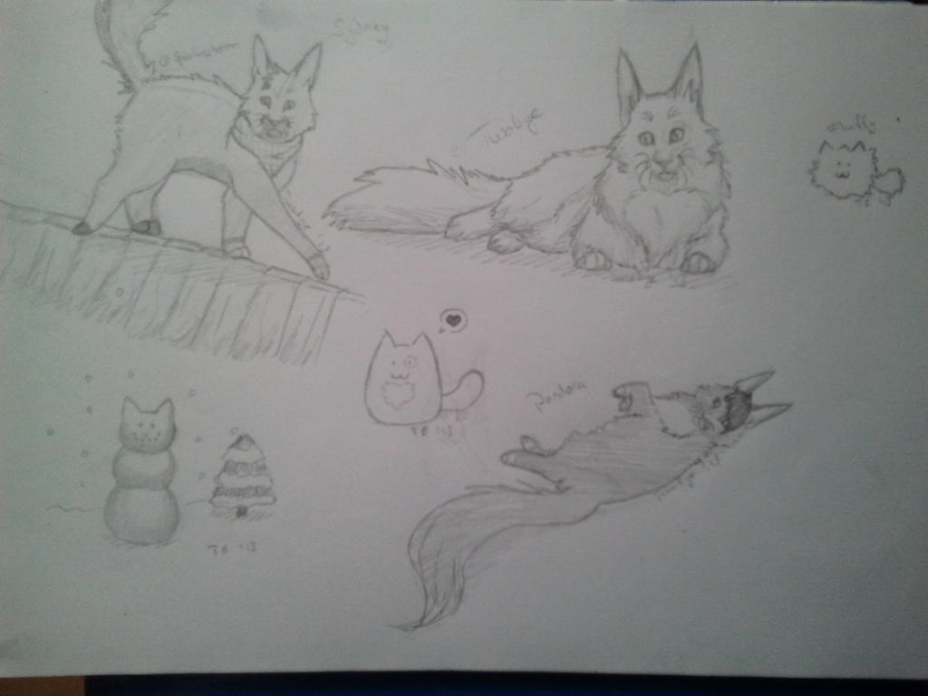 Cat Sketches