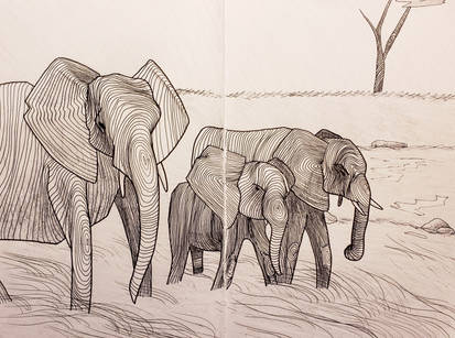 TOPO: Elephant Family