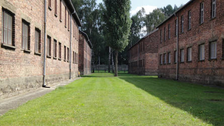 Auschwitz 1