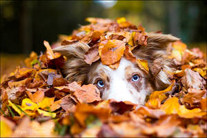 Deep blue eyes