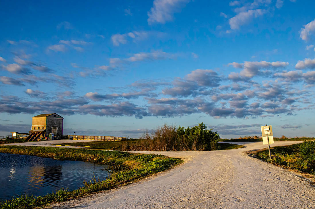 Lake Apopka by klingen1 on DeviantArt