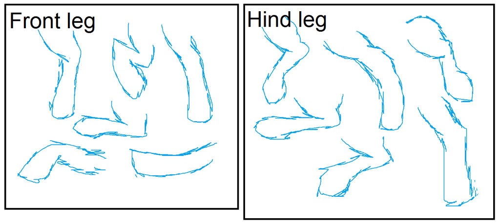 Mlp Leg Tutorial MLP Leg Practise by HTUnicorn on DeviantArt