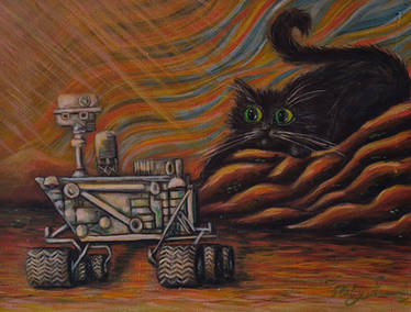 Curiosity and the Cat