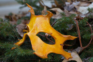 Oak Leaf Handmade Leather Mask