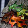 Oak Leaves Handmade Leather Masks