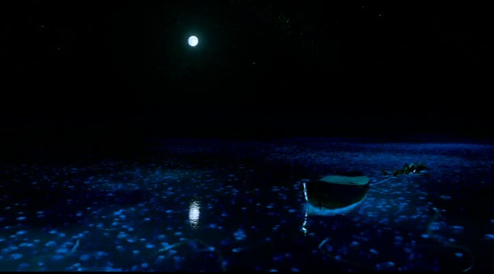 Life of PI Wallpaper night by StephenLarsson on DeviantArt Life of PI Wallpaper night by StephenLarsson on DeviantArt