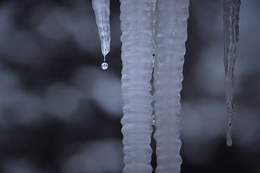Icicles-1